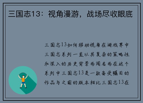 三国志13：视角漫游，战场尽收眼底